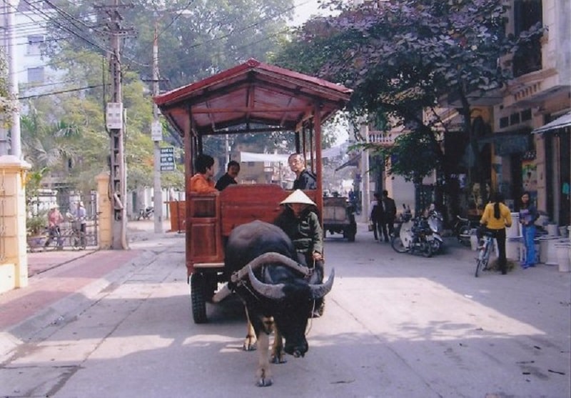 Thuê xe trâu tham quan ở Bát Tràng