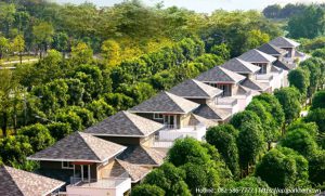 Biệt thự Vườn Tùng Ecopark