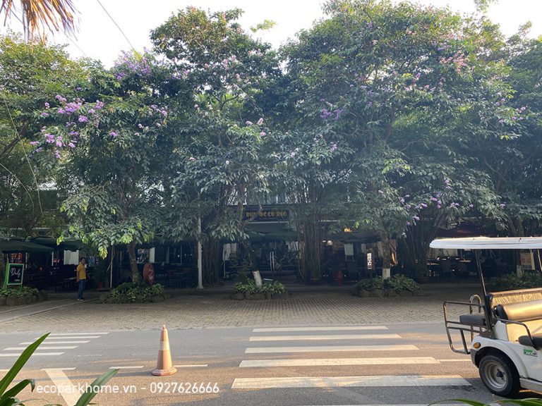 Nhà Phố Trúc Ecopark
