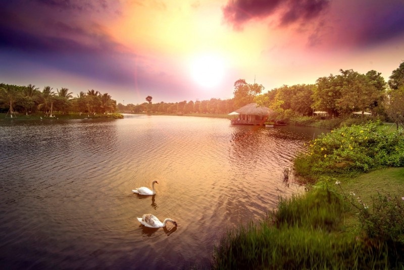 Sự Mãn Nguyện Của Những Gia Đình Khi Sống Ven Đô - Ecopark 